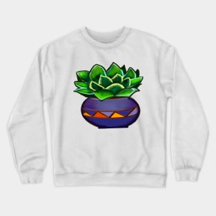 succulents cacti cactus in ornamental antique pottery clay vase . Succulents Crewneck Sweatshirt